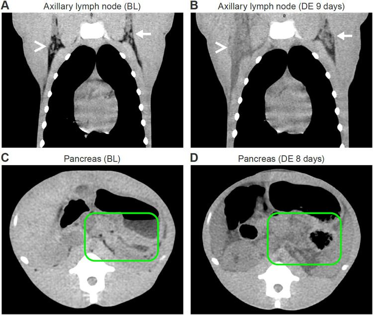 FIG 2