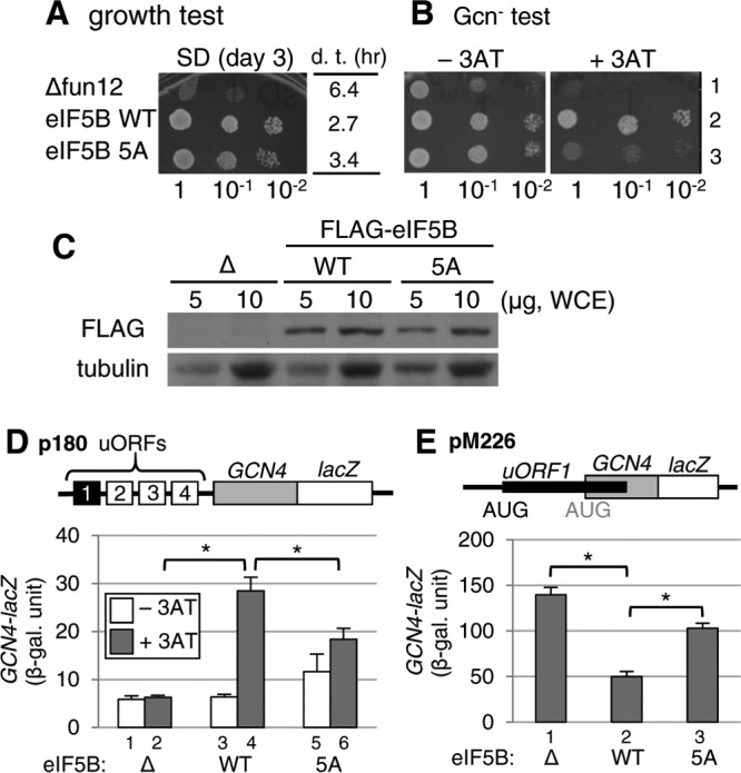 FIG 6