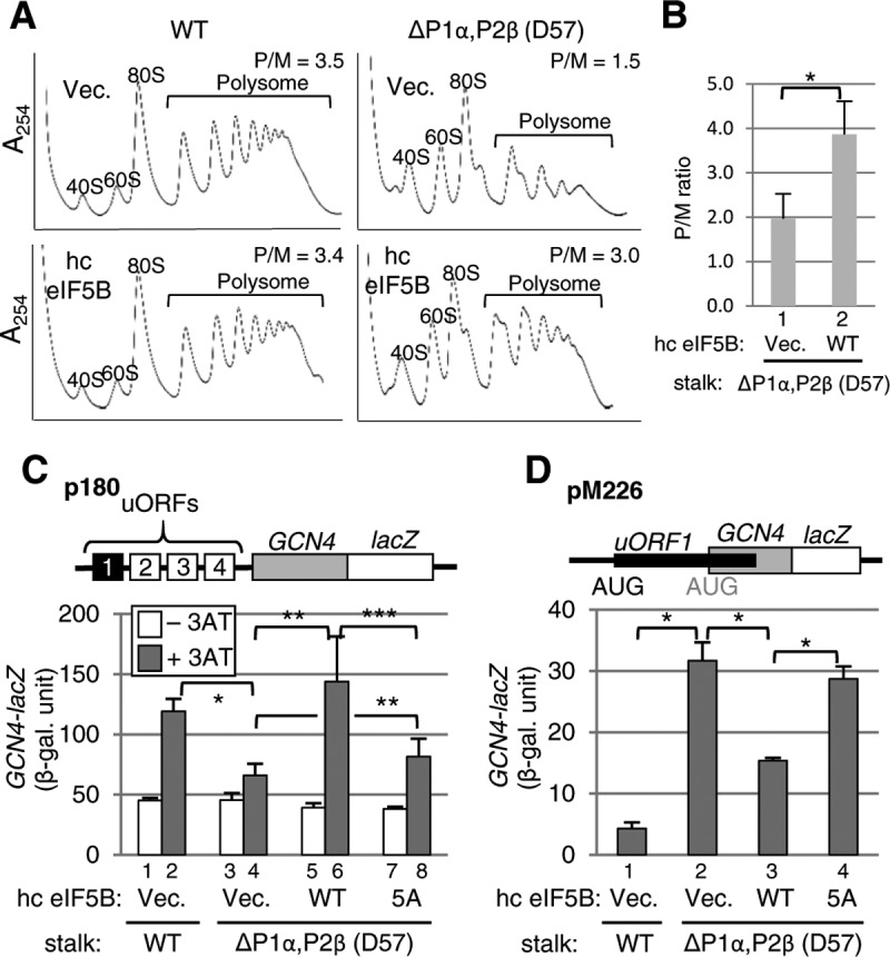 FIG 2