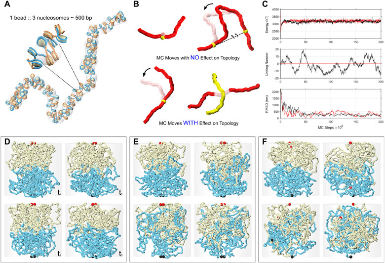 Extended Data Fig. 4