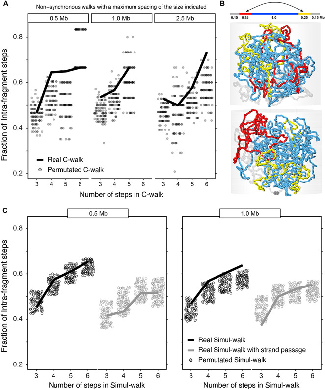 Figure 5: