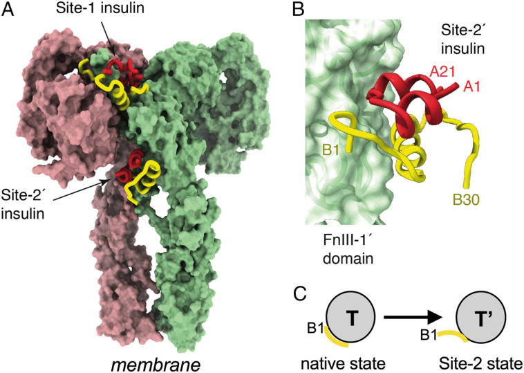 Fig. 9.