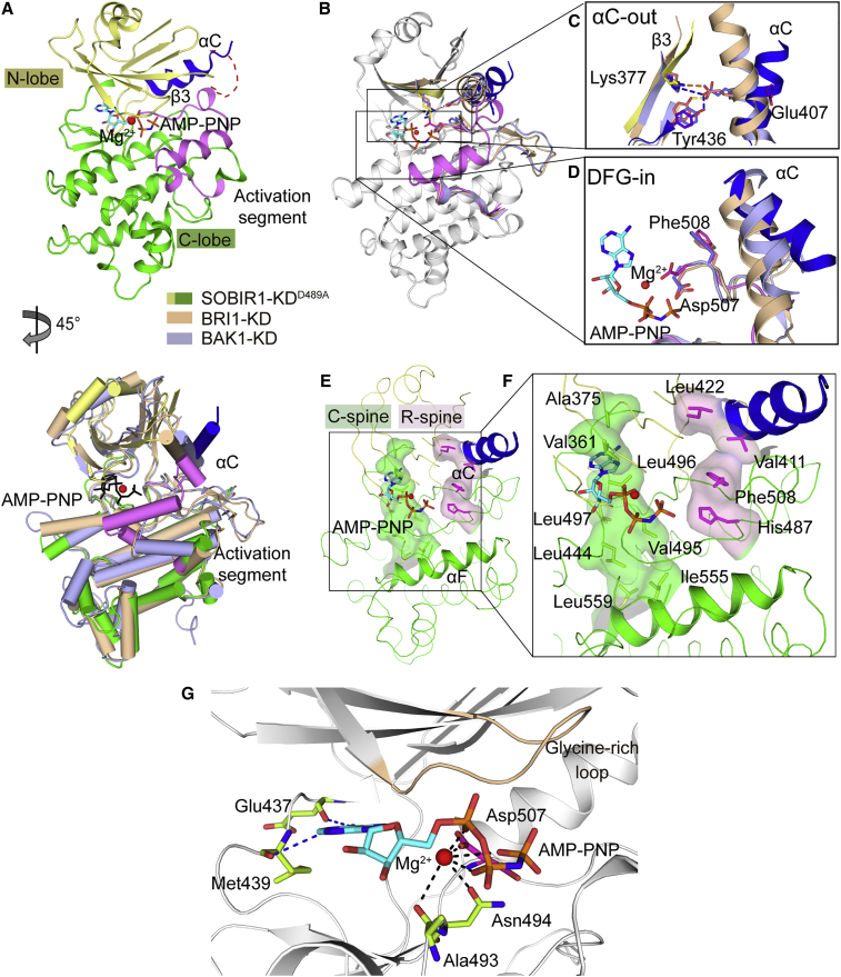 Figure 2