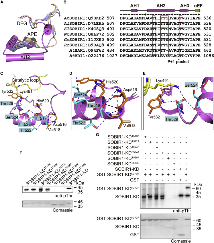 Figure 3