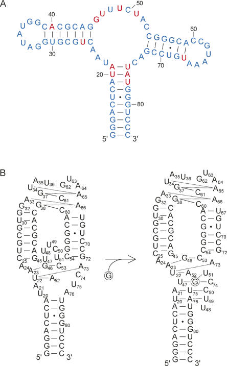 FIGURE 6.