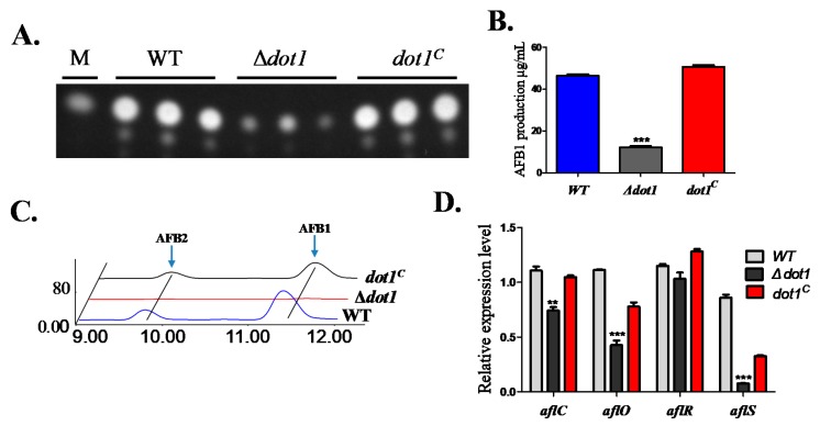 Figure 6