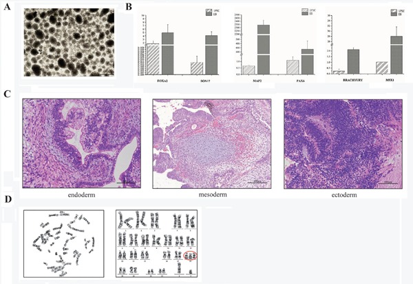 Figure 2.