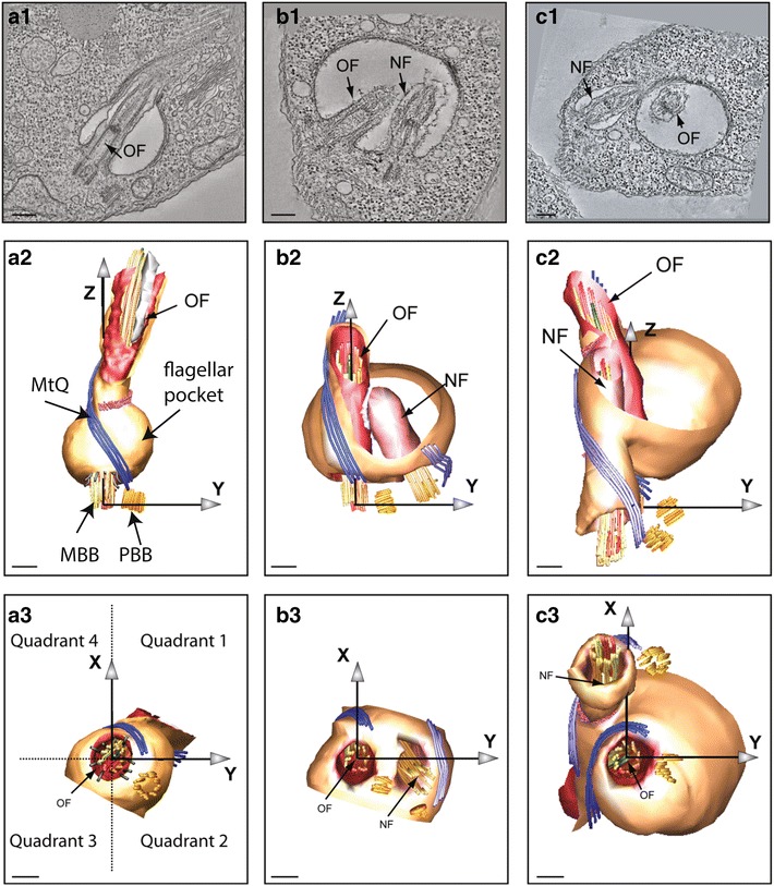 Fig. 3