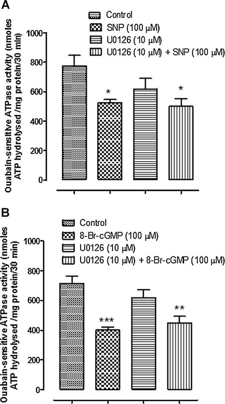 Fig. 13