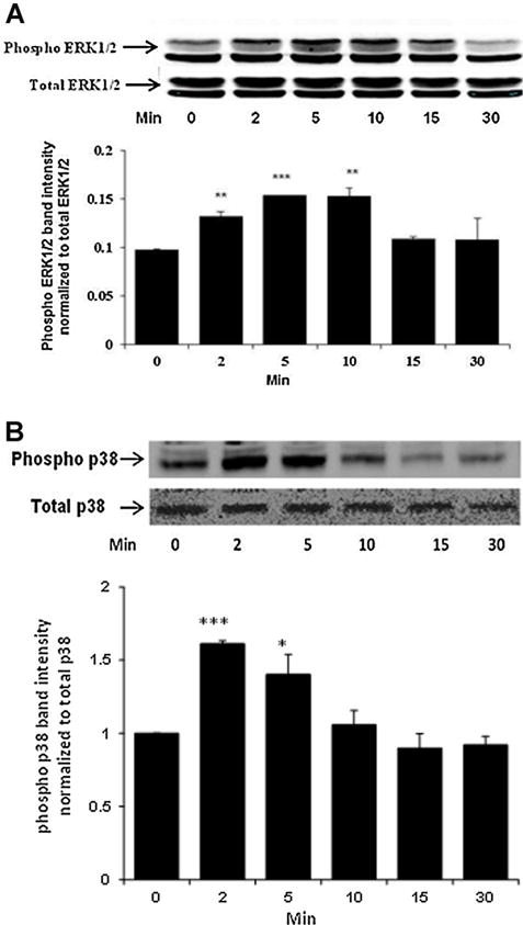 Fig. 11