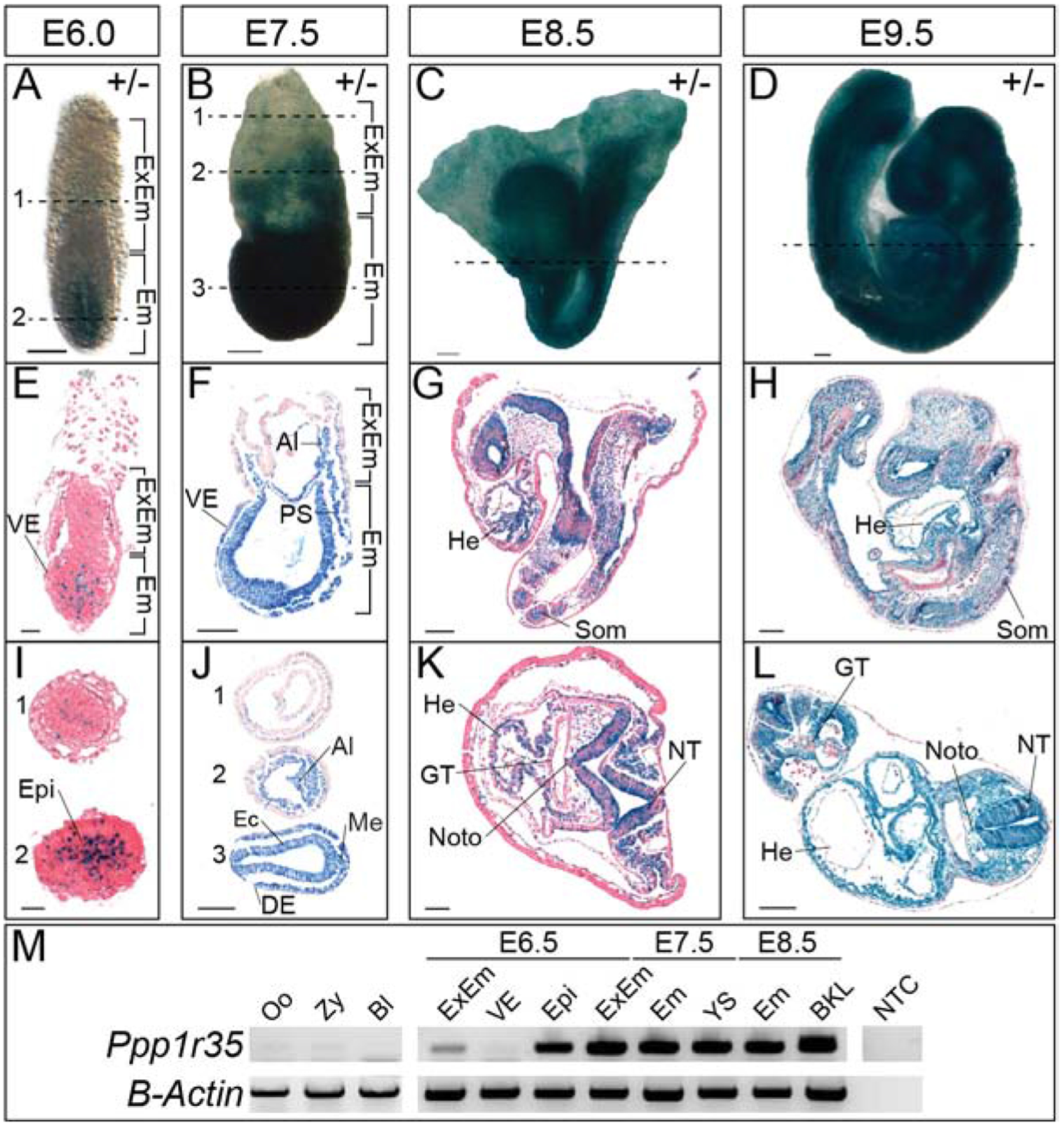 Figure 1: