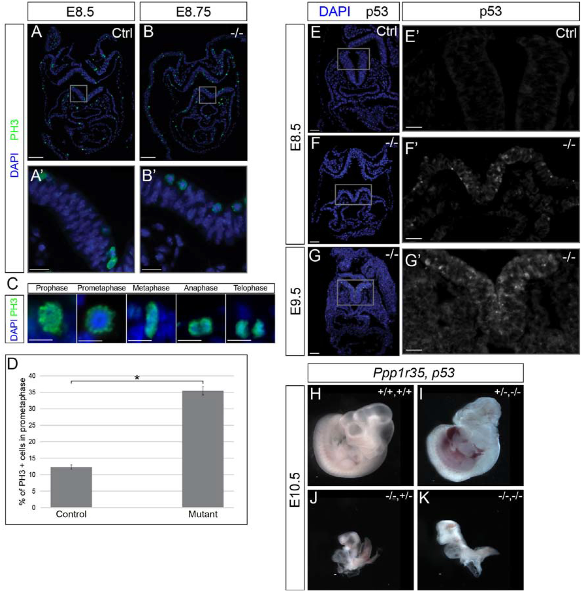 Figure 6: