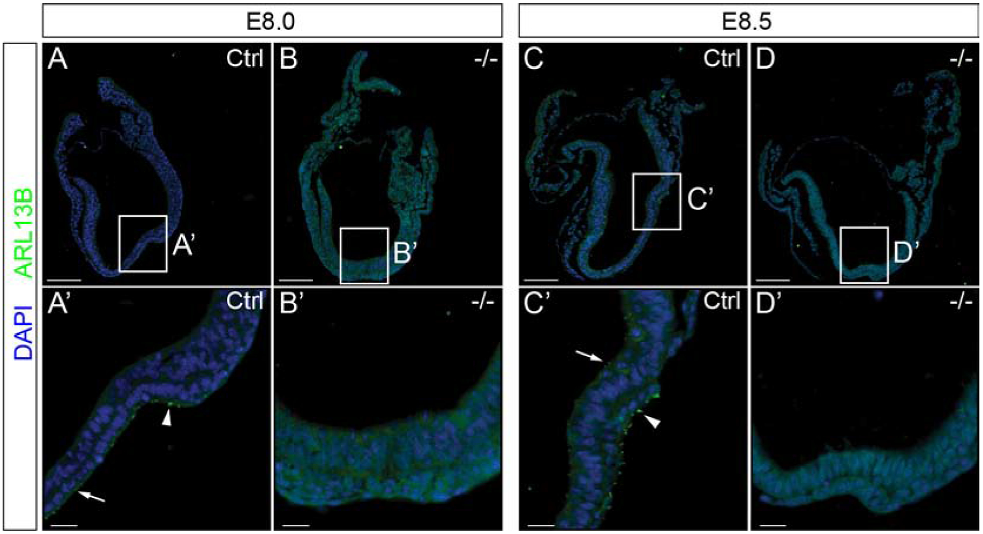 Figure 3: