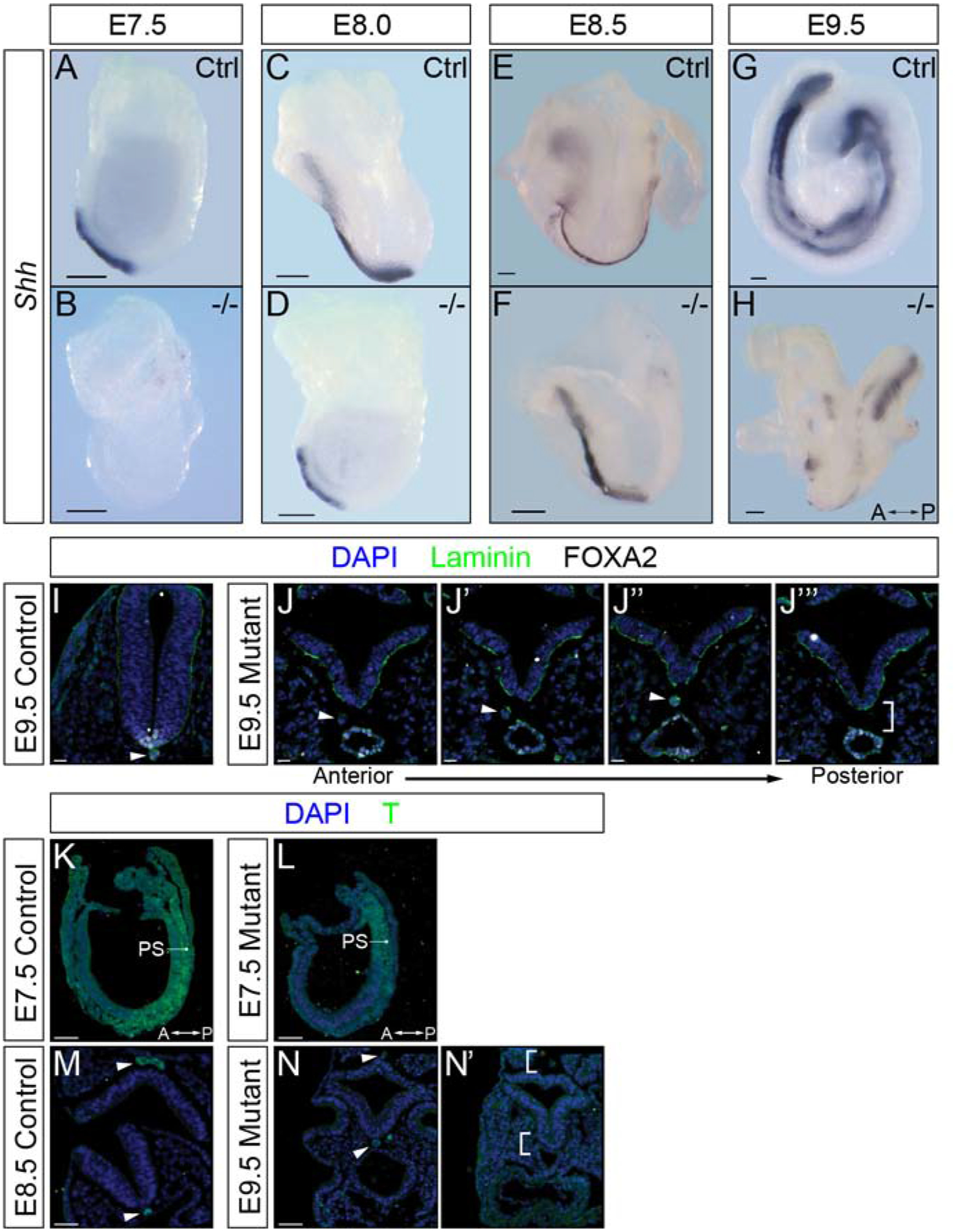 Figure 4: