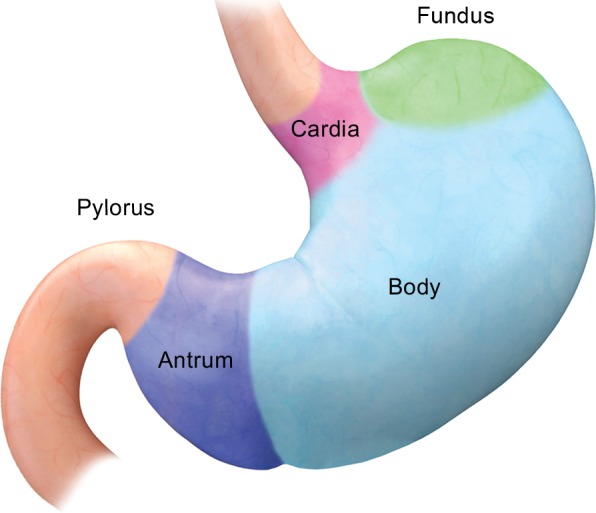 Figure 1a