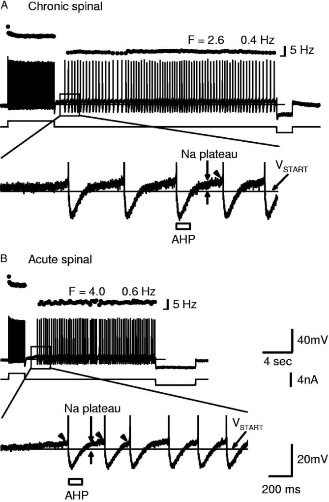 FIG. 7