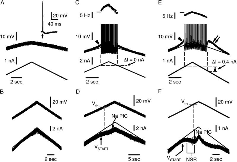 FIG. 5