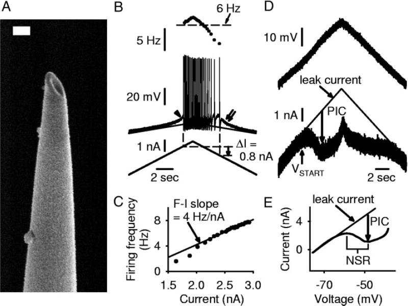 FIG. 1