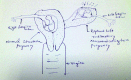 [Table/Fig-5]: