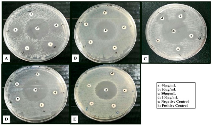 Figure 11