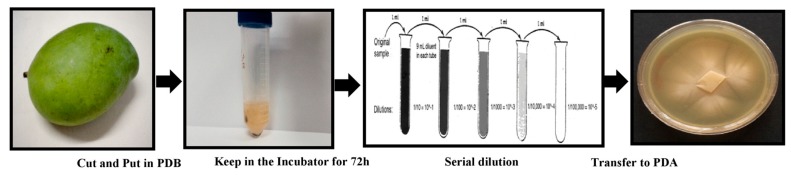 Figure 12