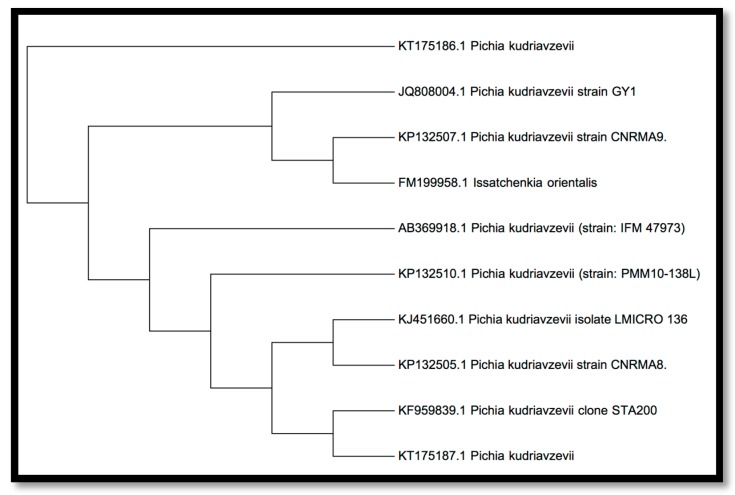 Figure 13