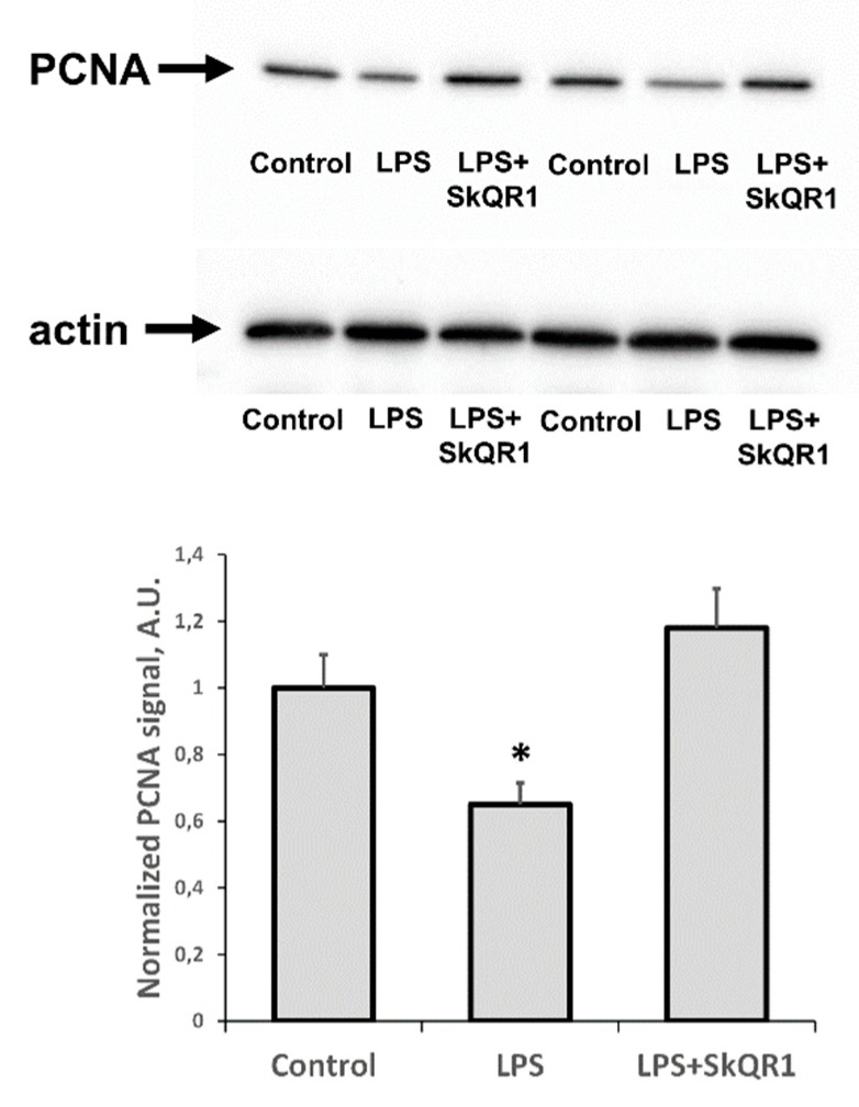 Figure 5