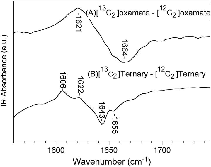 FIGURE 2 