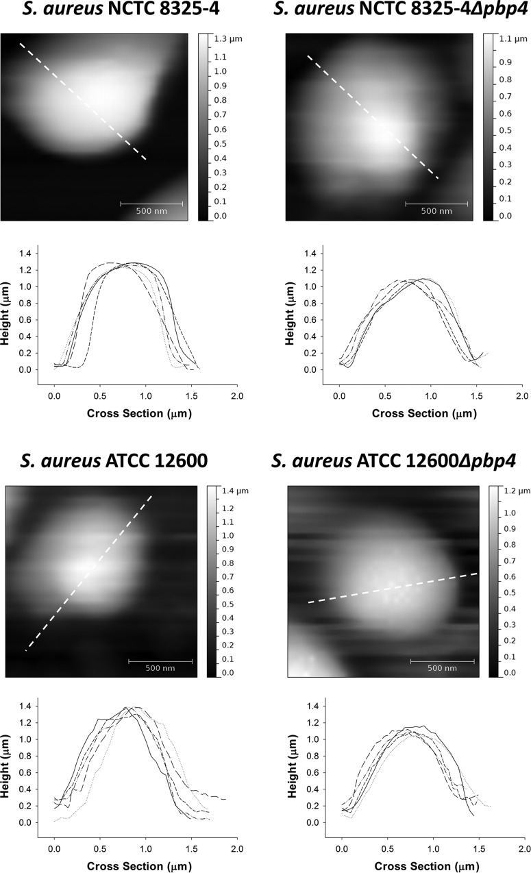 FIG 3