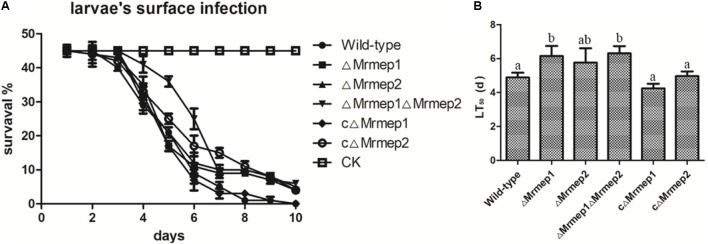 FIGURE 5