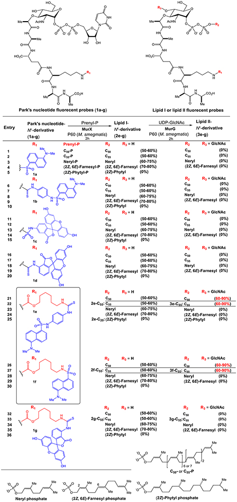 graphic file with name nihms-1059256-t0002.jpg