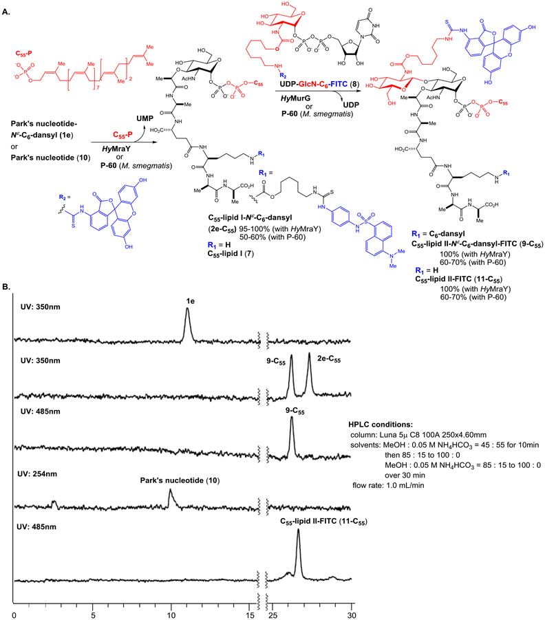 Figure 4.