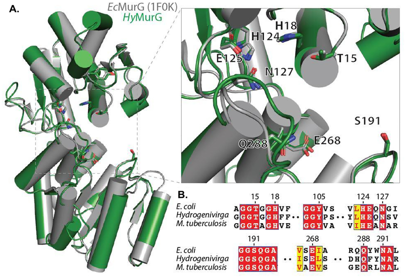 Figure 10.