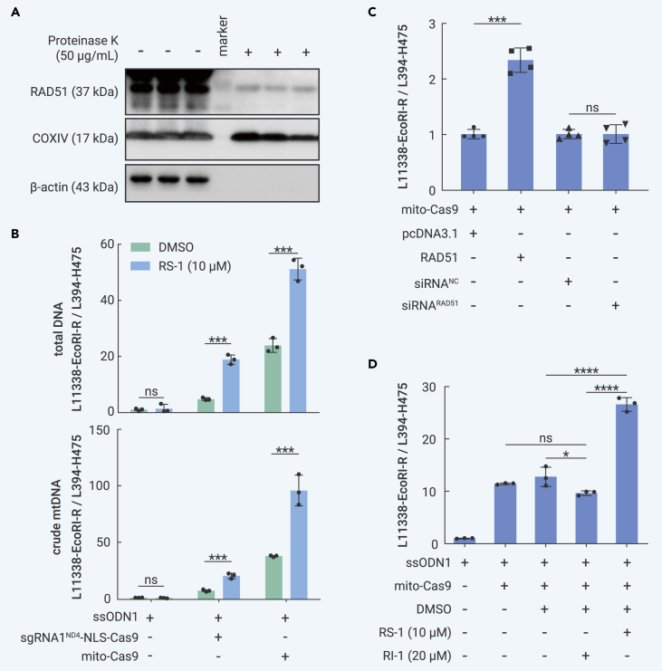 Figure 4