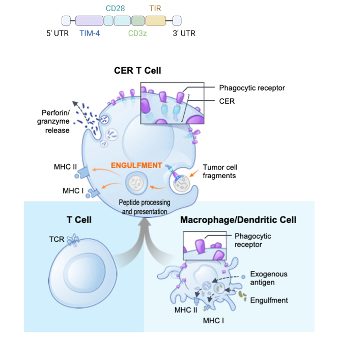 graphic file with name fx1.jpg