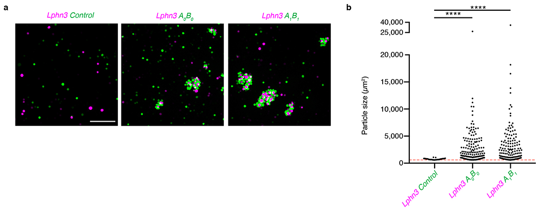 Extended Data Figure 9 |