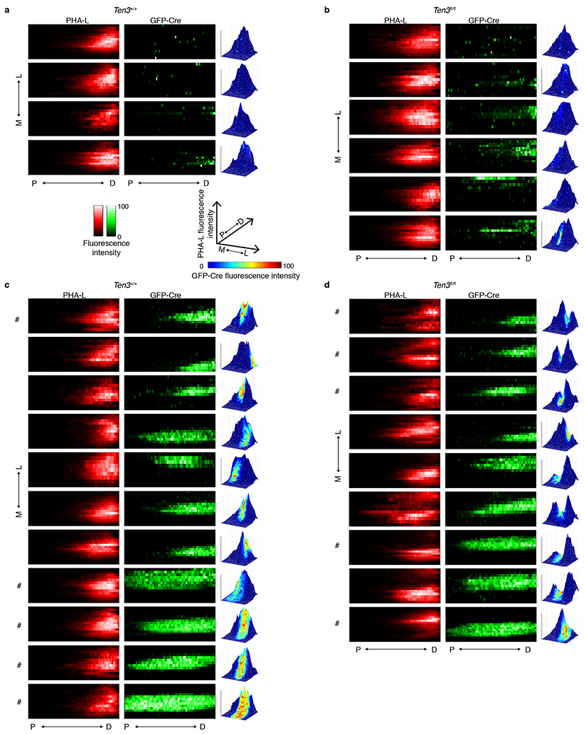 Extended Data Figure 8 |