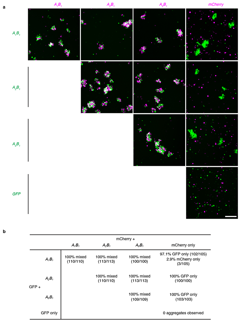 Extended Data Figure 10 |