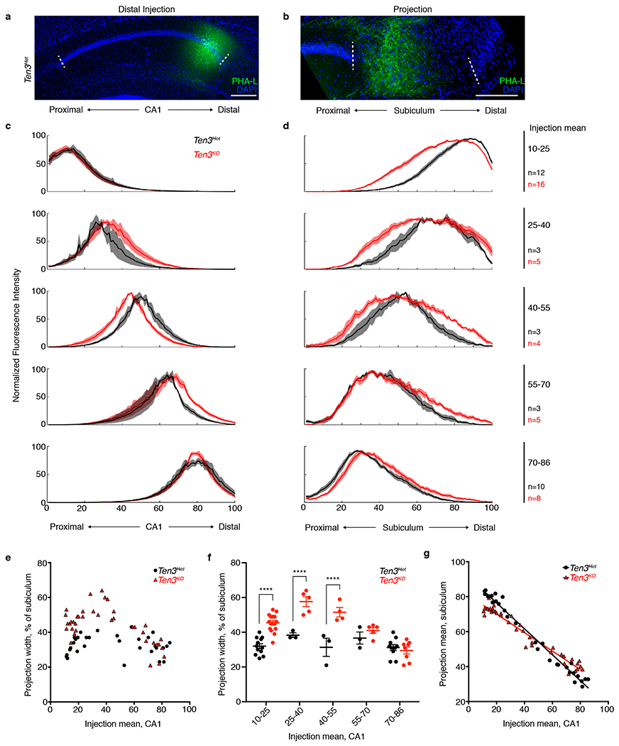 Extended Data Figure 5 |