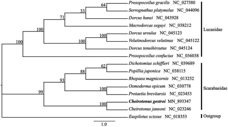 Figure 1.