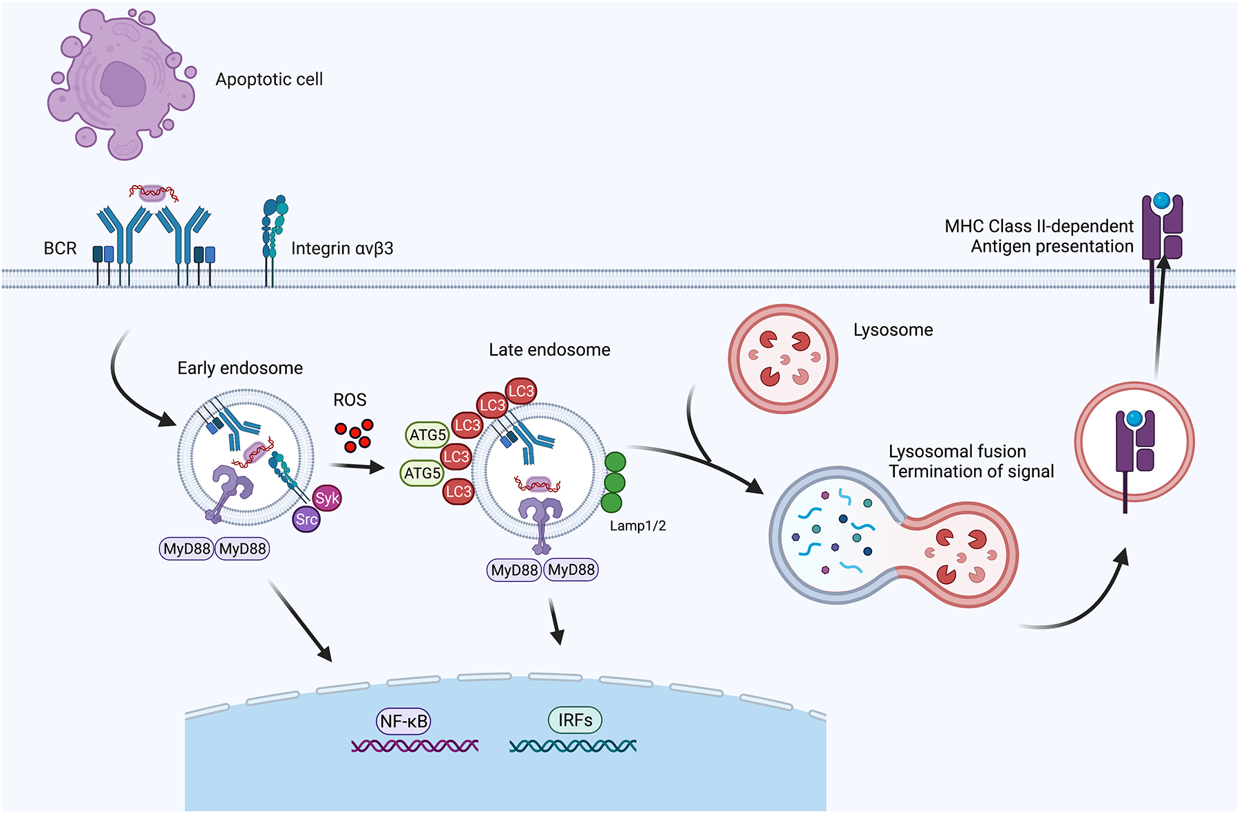 Figure 2: