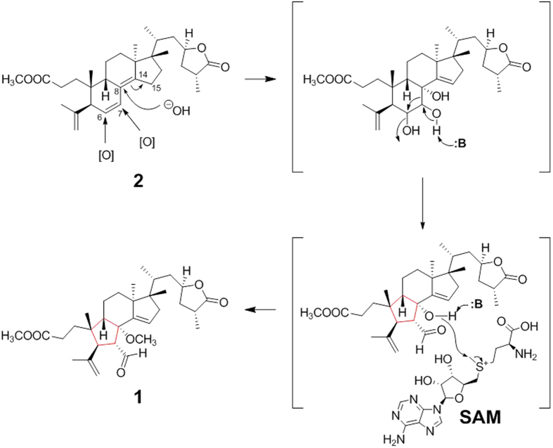 Figure 5