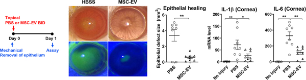 Figure 15.