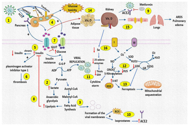 Figure 6