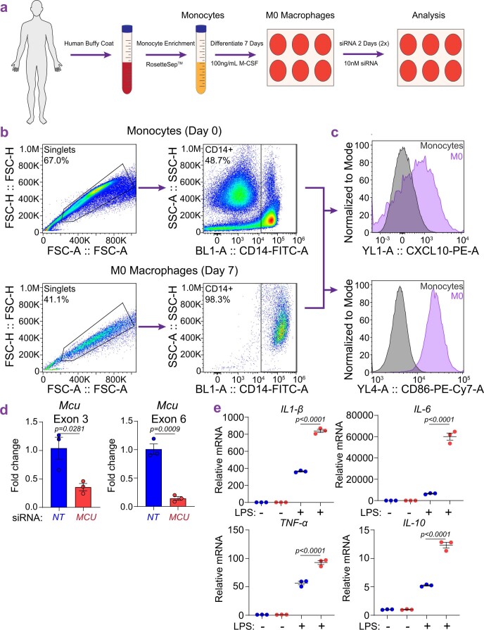 Extended Data Fig. 10