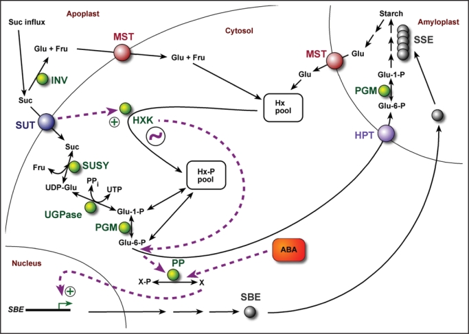 Figure 6