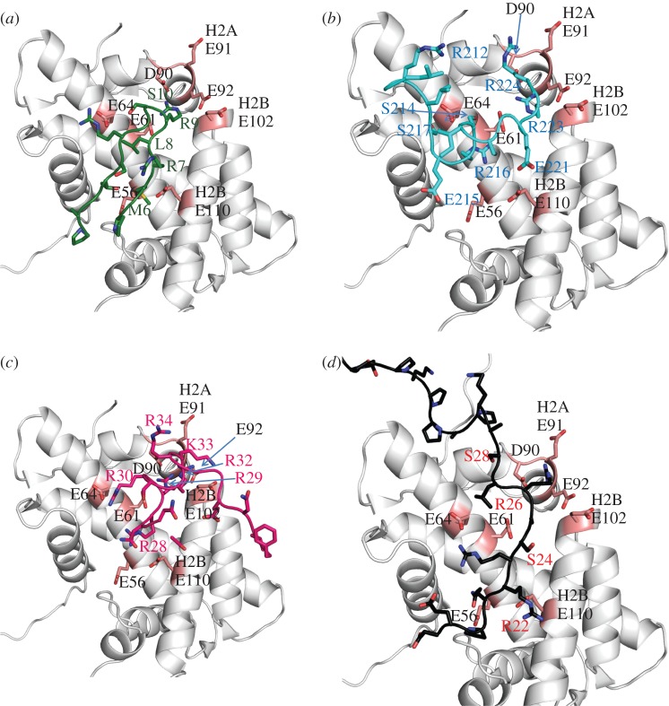 Figure 3.