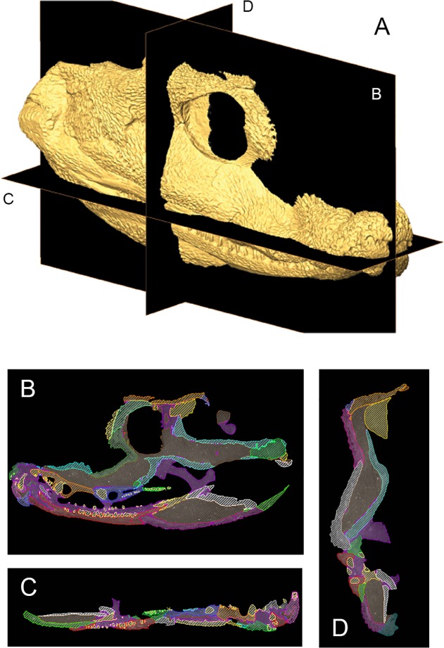 Fig 2