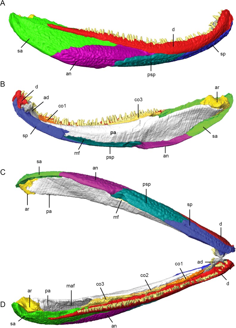 Fig 5