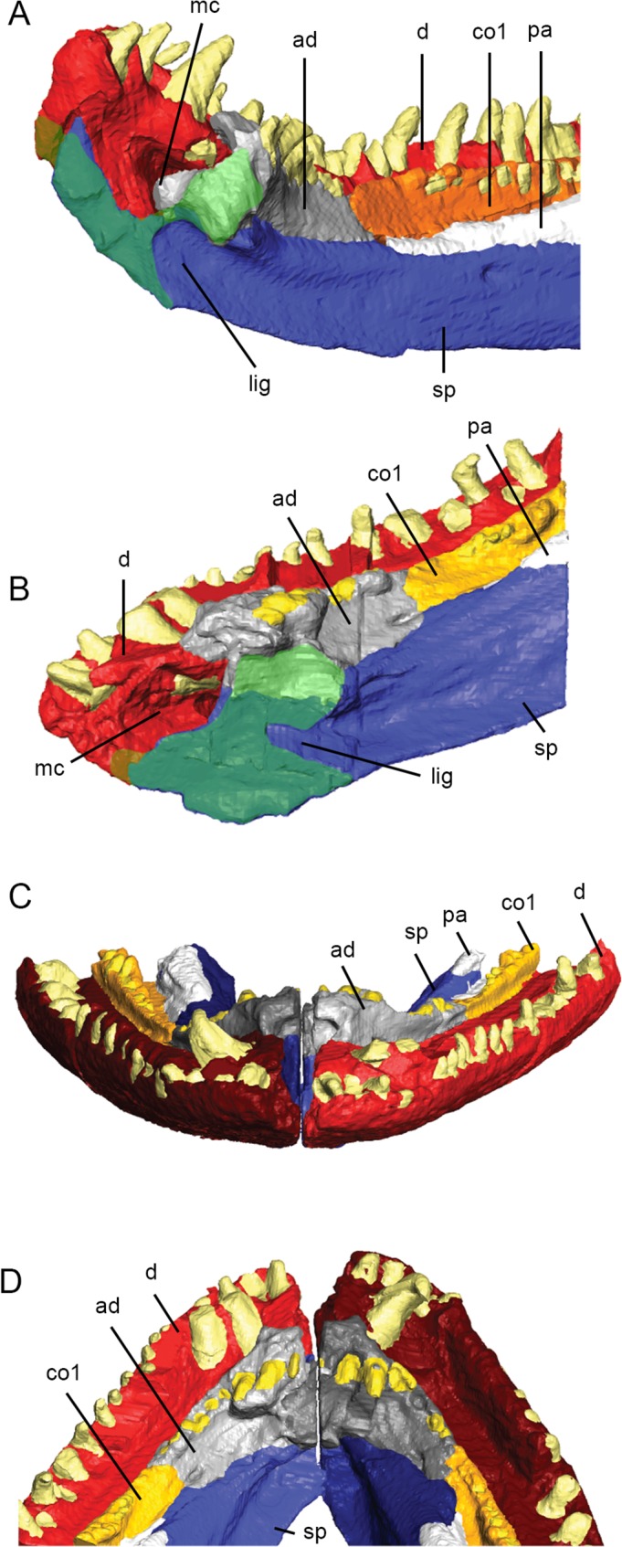 Fig 6